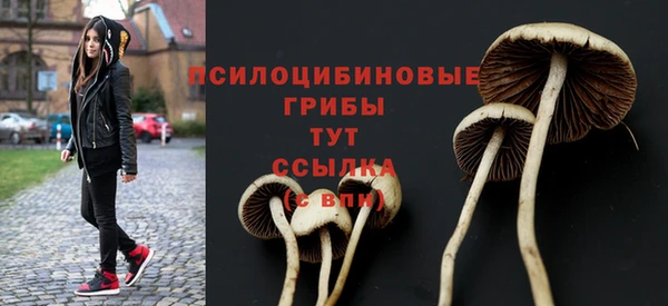 PSILOCYBIN Тайга