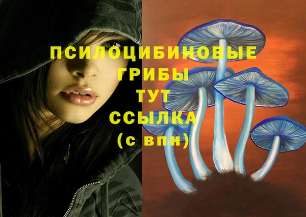 спайс Нязепетровск
