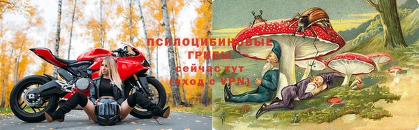 соль курить ск Няндома